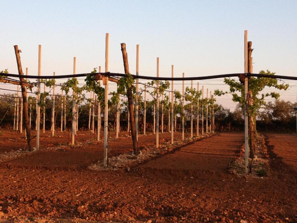Agriturismo Terra Rossa Otranto Esterno foto