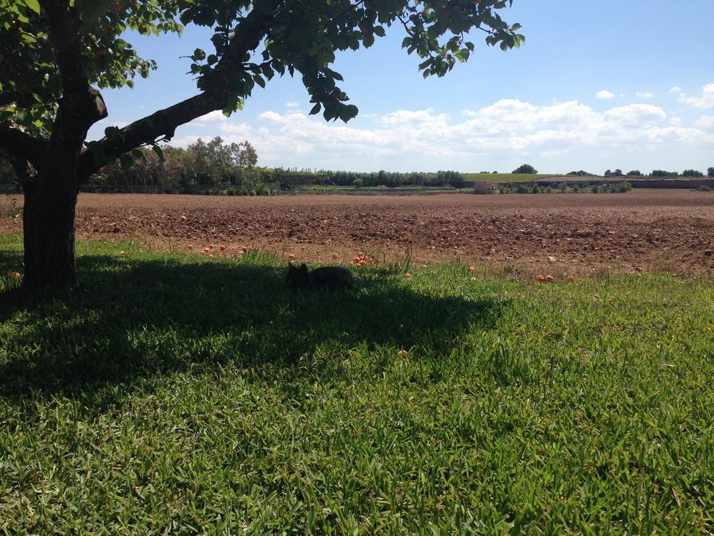Agriturismo Terra Rossa Otranto Esterno foto