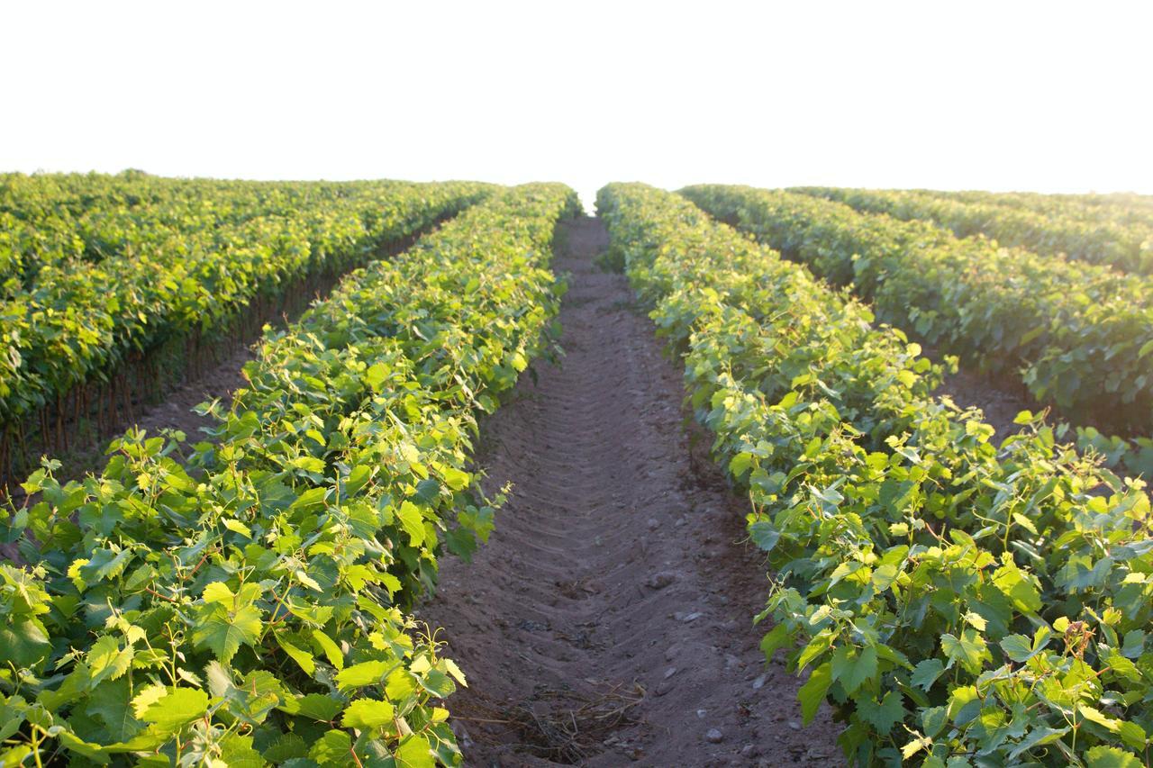 Agriturismo Terra Rossa Otranto Esterno foto