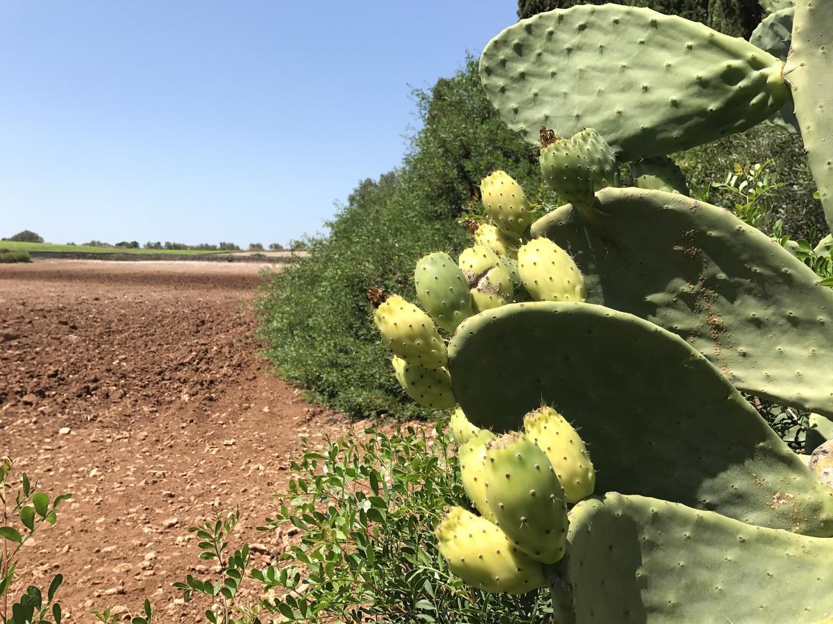 Agriturismo Terra Rossa Otranto Esterno foto